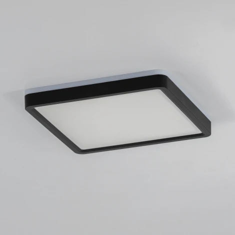 Настенно-потолочный светильник светодиодный с подсветкой Citilux Norma CL748K201 (220V, IP40)