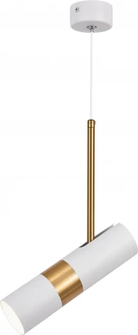 Подвесной светильник ЭРА PL33 WH/GD (220V, на проводе)