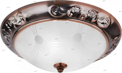 Потолочный светильник Arte Lamp Alta A3014PL-2AC