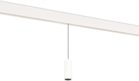 Трековый светодиодный светильник низковольтный 10W 48V Donolux Pratica DL20299WW10WS (круглые)