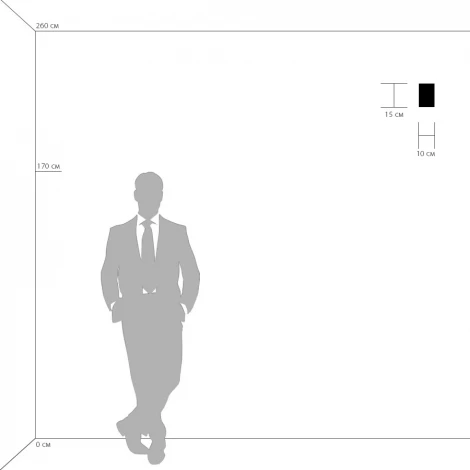 Настенный светильник Lightstar Qubica 805610 (220V, куб)