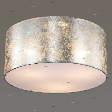 Потолочный светильник Odeon Light Femina 3280/3CA