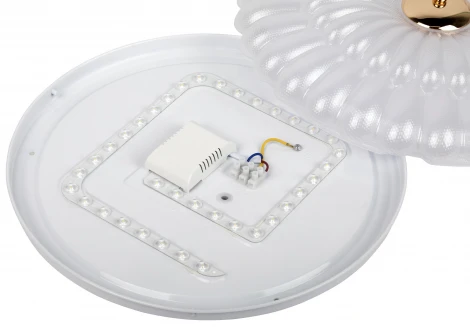 Потолочный светильник светодиодный ЭРА SPB-6 Chester 48W-5K WH+GD