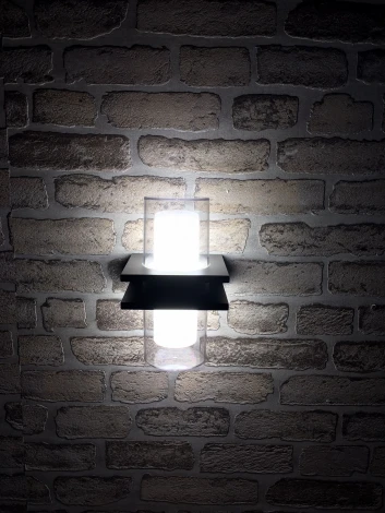 Настенный светильник уличный Oasis Light W1929