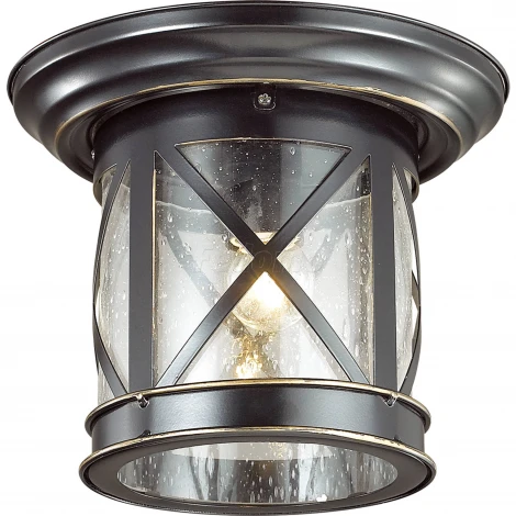 Потолочный светильник уличный Odeon Light Sation 4045/1C (220V, IP44)