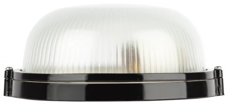 Настенно-потолочный светильник ЭРА НБП 03-60-001 в инд. упаковке НБП 03-60-001 черный