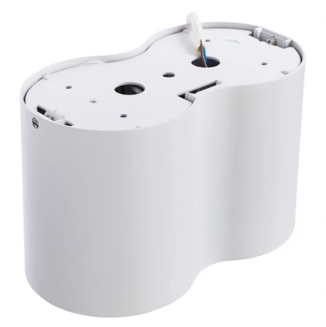 Потолочный светильник Arte Lamp Falcon A5633PL-2WH (220V)