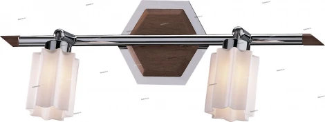 Настенно-потолочный светильник Odeon Light Lari 1806/2W