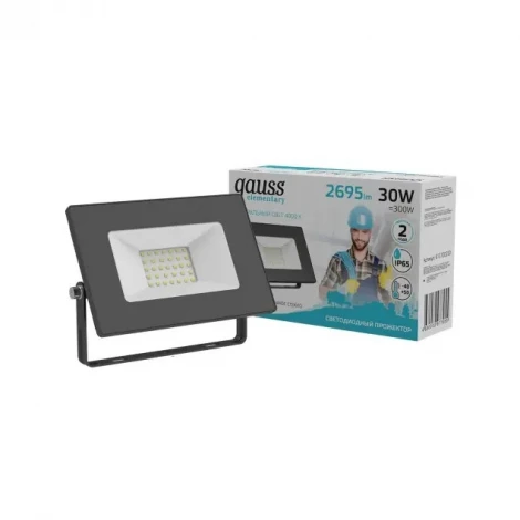 Прожектор уличный Gauss Elementary 613100230 (LED, IP65)