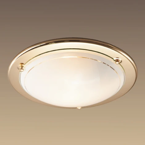 Настенно-потолочный светильник Sonex Riga 215