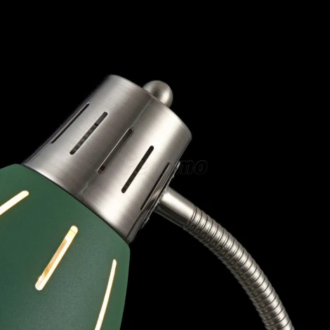 Офисная настольная лампа Freya Nina FR5151-TL-01-GN