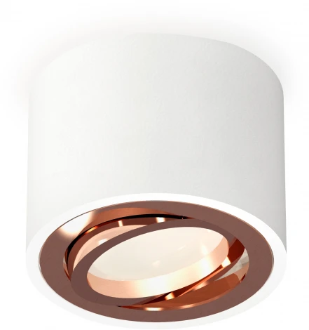 Накладной точечный светильник Ambrella Techno Spot XS7510005 (220V, круглые)