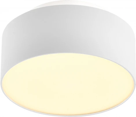 Потолочный светильник наклодной ST Luce ST166.542.17 Белый LED 1*12+5W 4000K 1 190Lm (220V, круглые)