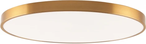 Потолочный светильник круглый светодиодный Zortes Tortty ZRS.02566.120 (220V, круглые, IP21)