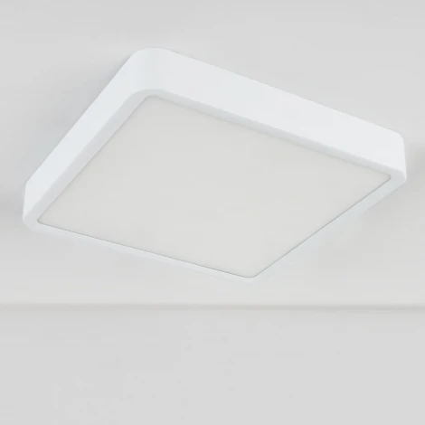 Потолочный светильник Elektrostandard DLR020-DLS020 DLS034 18W 4200K (LED, 220V)