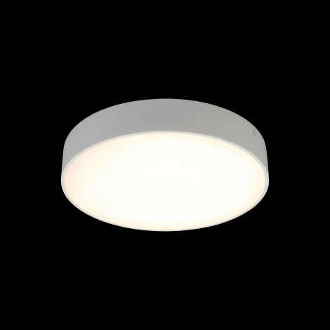 Потолочный светильник круглый Aployt Evon APL.0113.09.24 (LED, 220V, круглые)