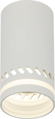 Точечный светильник ЭРА OL50 WH (220V)