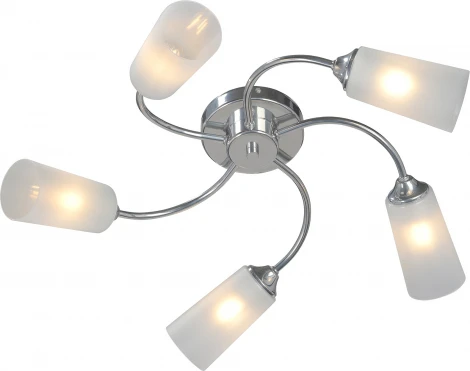 Потолочная люстра Vitaluce V2831-9/5PL