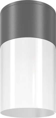 Уличный потолочный светильник Maytoni Willis O418CL-01GR