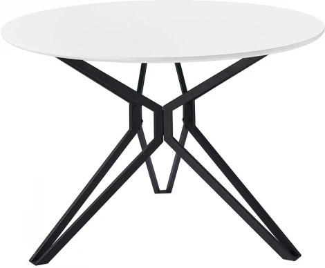Стол DT-62 белый/черный (d110)