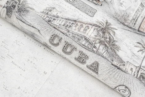 Обои виниловые Артекс Nature Inspiration 10229-03 10,05 x 1,06 м