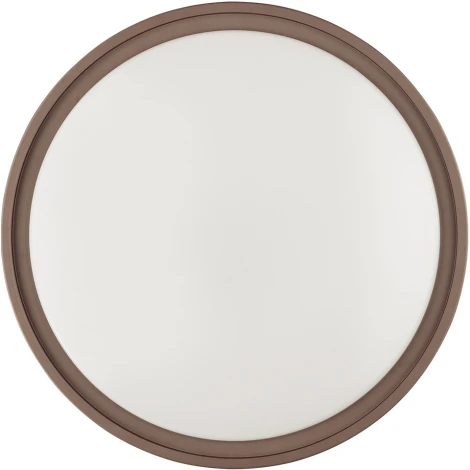 Настенно-потолочный светильник Sonex Navil 3044/CL