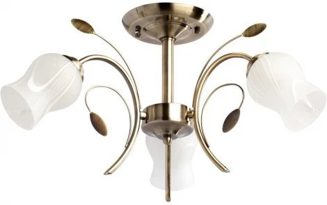 Потолочная люстра MW-Light Флора 256018103