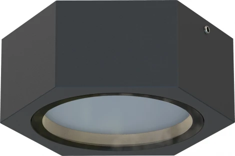 Потолочный светильник уличный Favourite Fantum 4667-1U (220V, круглые, IP54)