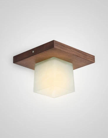 Потолочный светильник прямоугольный Мелодия Света SS1N 000036799