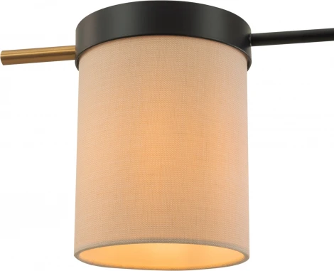 Потолочная люстра на штангу Freya Bogy FR5377CL-04B (220V)