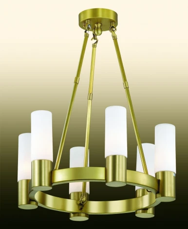 Подвесная люстра Odeon Light Lorita 2719/6