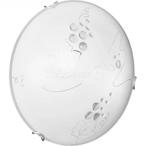 Настенно-потолочный светильник Sonex Traube 104/CL