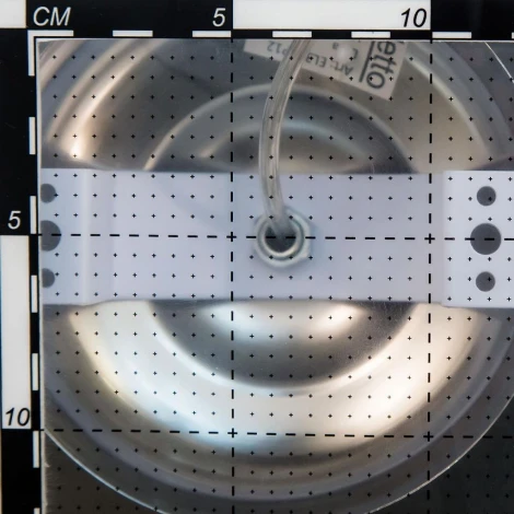 Подвесная люстра Eletto Diva EL339P08 (LED, 220V, на цепи, лепестки)