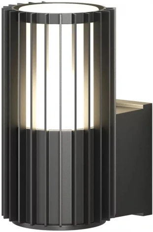 Настенный светильник уличный Denkirs Farsun DK9722-BK (220V, круглые, IP65)