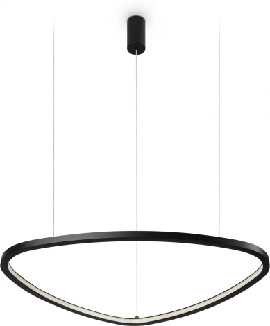 Подвесной светильник Maytoni Glint MOD072PL-L28B3K (LED, 220V, на тросе)