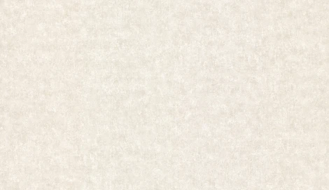 Обои виниловые Marburg Padua Classic 57309 10,05 x 1,06 м