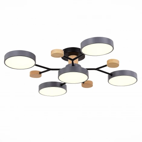 Потолочная люстра на штанге Evoluce Faema SLE6006-702-05