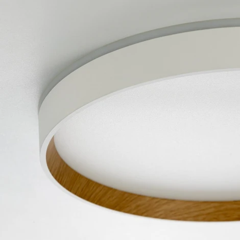 Настенно-потолочный светодиодный светильник IP40 Citilux Etalon CL750320R Белый+Бук с пультом и RGB подсветкой