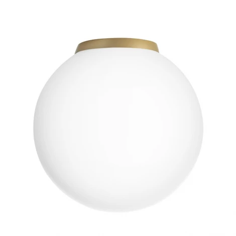 Настенно-потолочный светильник Citilux Ron CL941D20B2