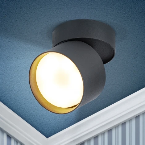 Спот ЭРА OL12 GX53 SBK OL12 GX53 SBK