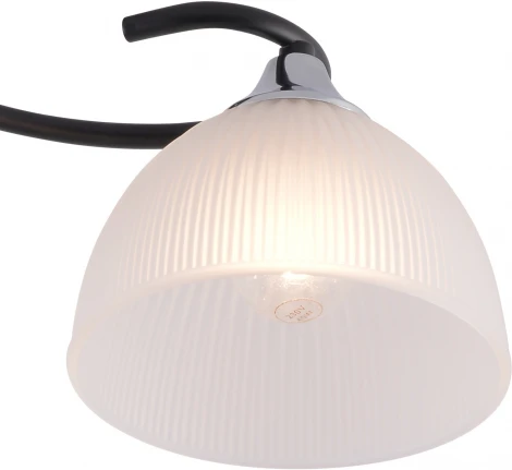 Потолочная люстра на штанге Reluce 01635-0.3-02 BK+CR