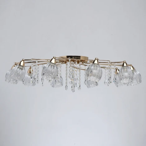 Потолочная люстра MW-Light Подснежник 294016710