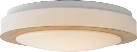 Потолочный светильник Lucide Dimy Led 79179/12/72