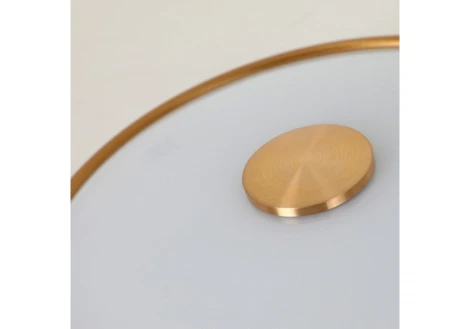 Потолочный светильник круглый Favourite Pannikin 2375-2C (220V, круглые)