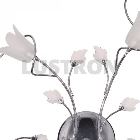 Бра MW-Light Подснежник 294022602