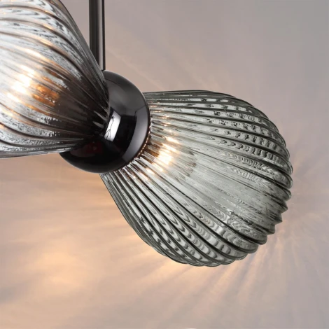 Потолочная люстра на штанге Elica 5417/2 Odeon Light (220V)