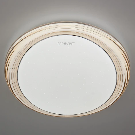 Потолочный светильник Eurosvet Universal 40007/1 LED кофе 54W