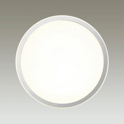 Настенно-потолочный светильник Odeon Light Rima 4680/18CL