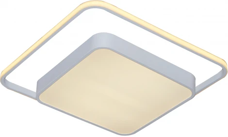 Потолочный светильник Moderli Silectra V1013-CL