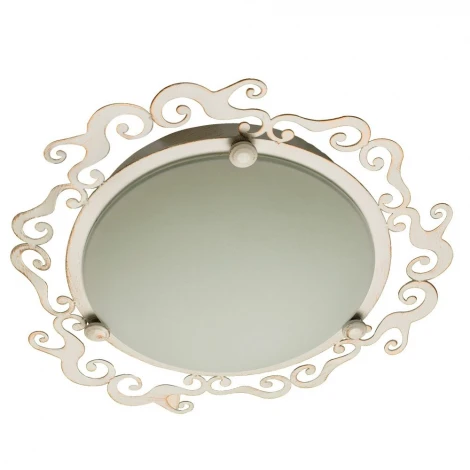Потолочный светильник Arte Lamp Riccioli A1060PL-2WG